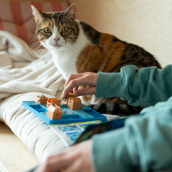 SmartGames - Cats & Boxes - Image 6