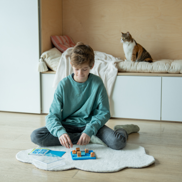 SmartGames - Cats & Boxes - Image 9